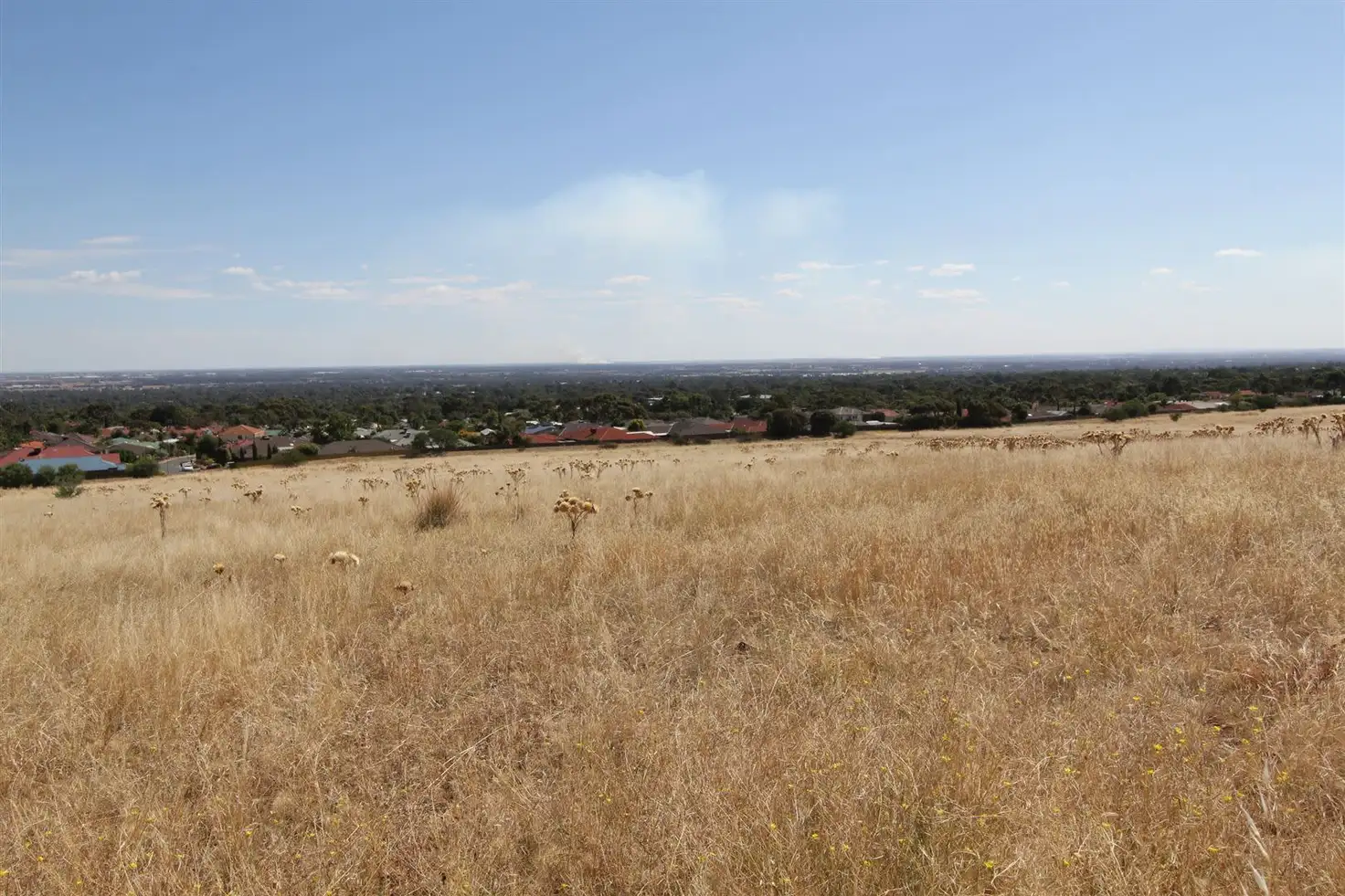 Main view of Homely rural property listing, Lot 1 & 2 Yorktown Road, One Tree Hill SA 5114