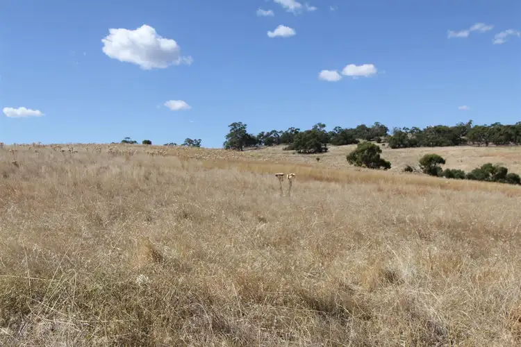 Third view of Homely rural property listing, Lot 1 & 2 Yorktown Road, One Tree Hill SA 5114