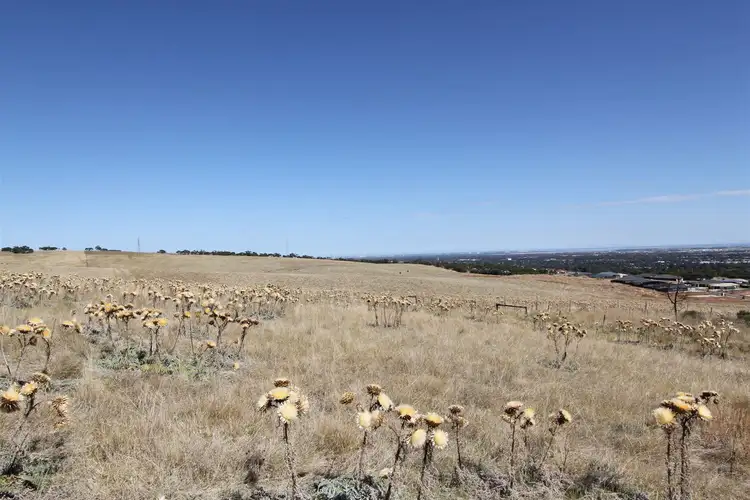 Sixth view of Homely rural property listing, Lot 1 & 2 Yorktown Road, One Tree Hill SA 5114