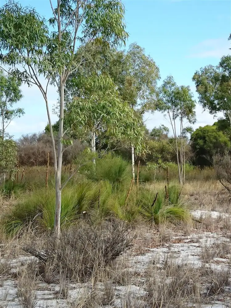 Seventh view of Homely land listing, Lot 57 Gingin Brook Road, Muckenburra WA 6503