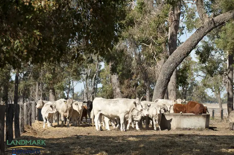 Seventh view of Homely rural property listing, ' Elgin Park ', Elgin WA 6237
