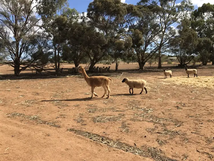 Fourth view of Homely land listing, 120 Athol Road, Kudla SA 5115