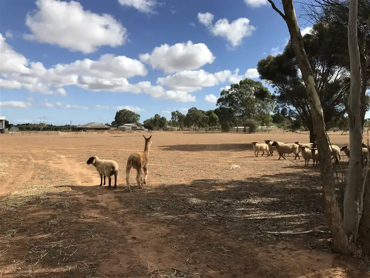 Sixth view of Homely land listing, 120 Athol Road, Kudla SA 5115