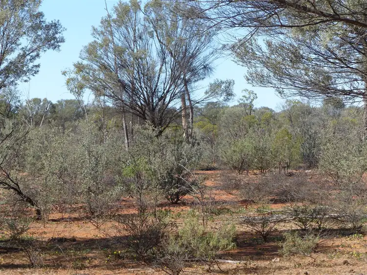 Sixth view of Homely rural property listing, . "Boocenbury" & "Playboy", Charleville QLD 4470