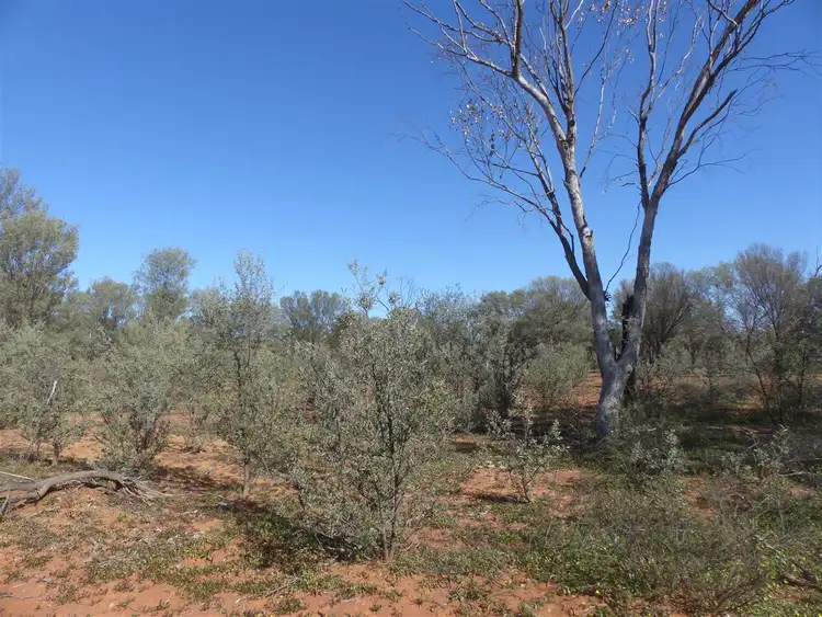 Seventh view of Homely rural property listing, . "Boocenbury" & "Playboy", Charleville QLD 4470