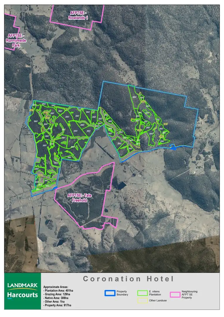 Main view of Homely rural property listing, . Woodsdale Road, Runnymede TAS 7190