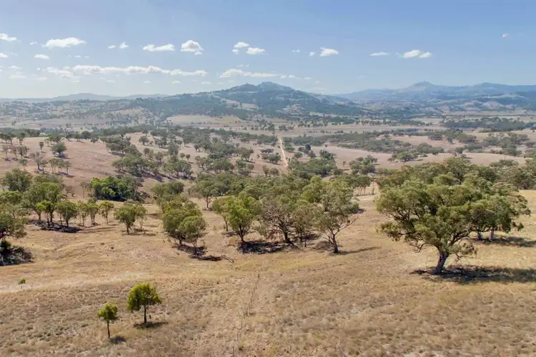 Lot 7 Warrah Park Lane, Willow Tree NSW 2339