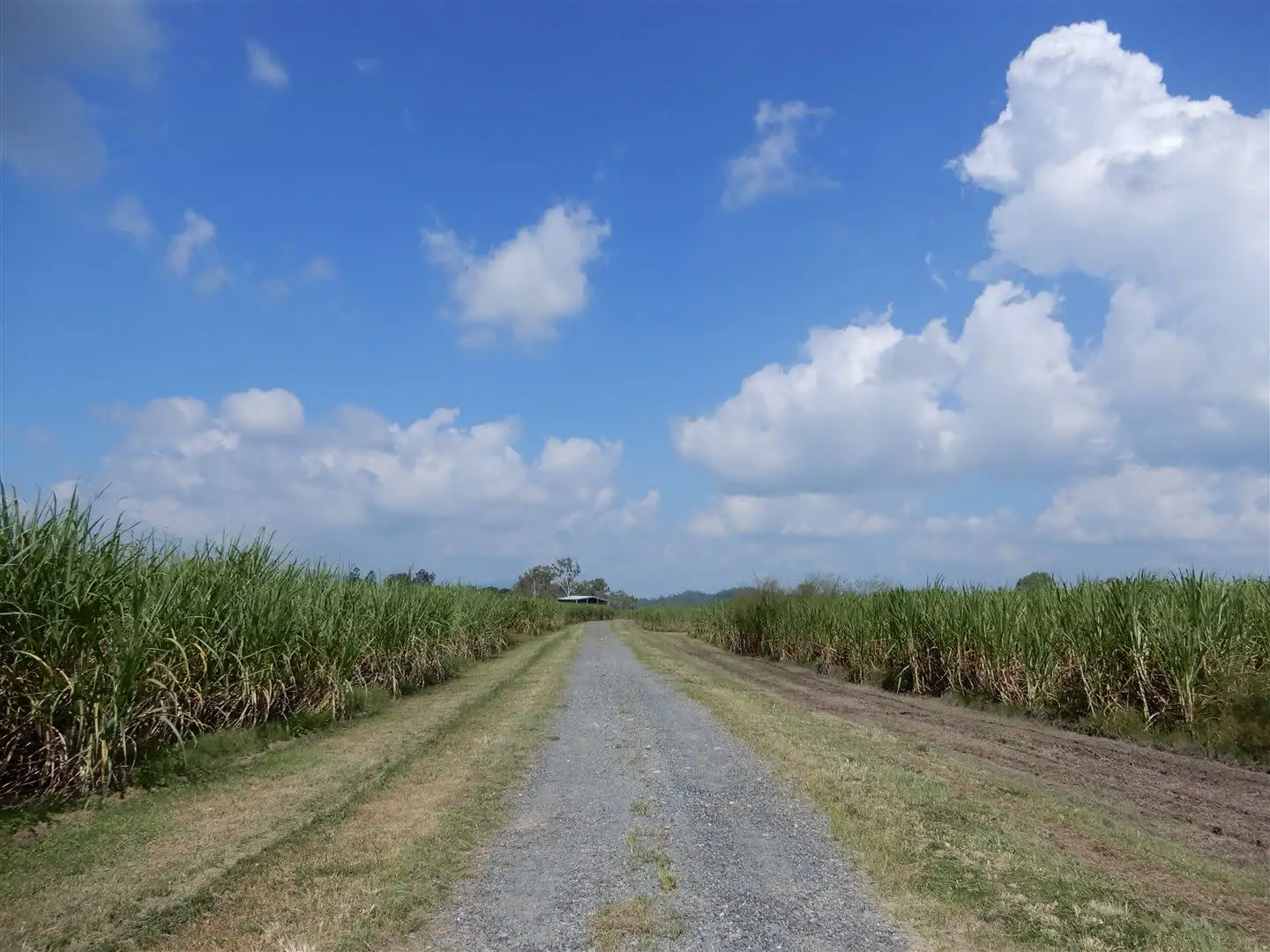 Main view of Homely rural property listing, Address available on request
