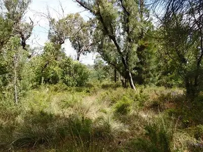 Third view of Homely land listing, 30 Thompson Crescent, Lake Clifton WA 6215