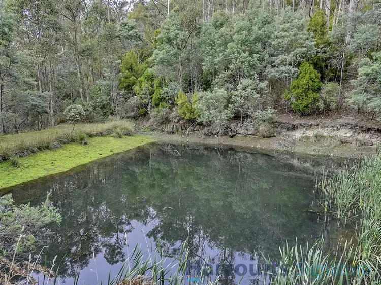 Third view of Homely house listing, 192 Lower Swamp Road, Lachlan TAS 7140
