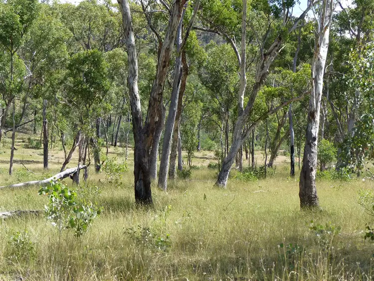 Second view of Homely rural property listing, . 'Warrong', Injune QLD 4454