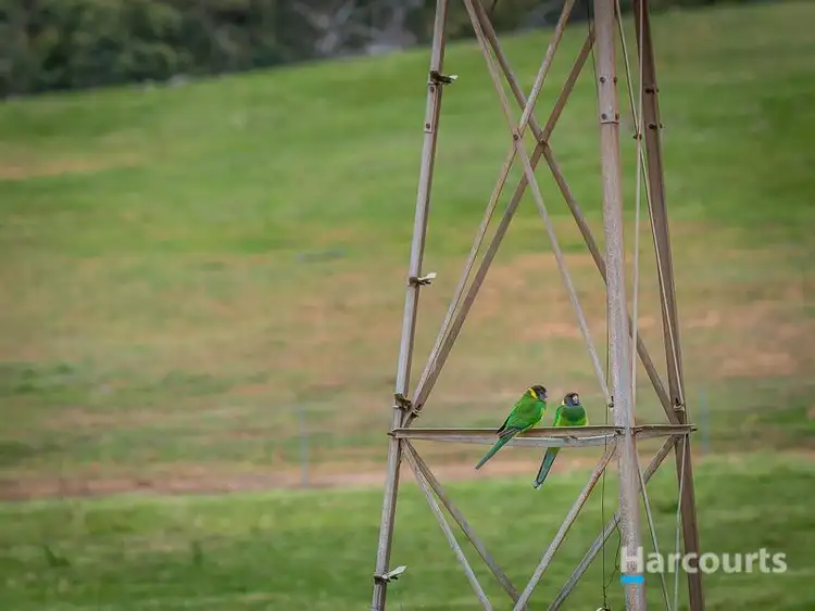 Sixth view of Homely land listing, 158 Guernsey Rise, Lower Chittering WA 6084