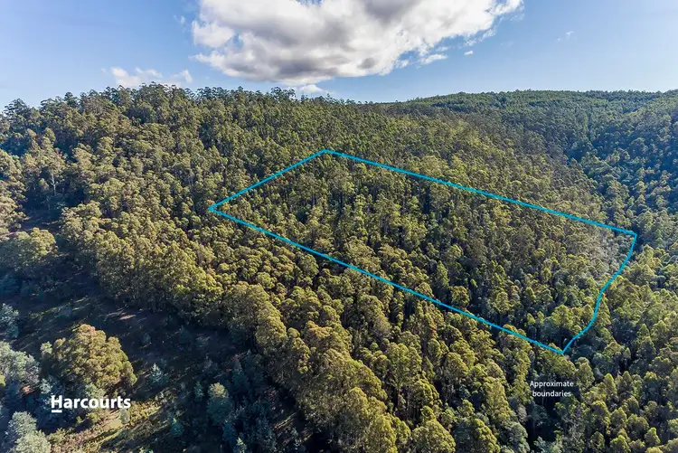 Fifth view of Homely land listing, Lot 1 Maxfields Road, Franklin TAS 7113