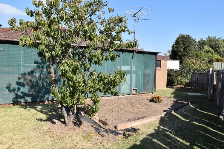 Fifth view of Homely house listing, 14 Alison Court, Bairnsdale VIC 3875