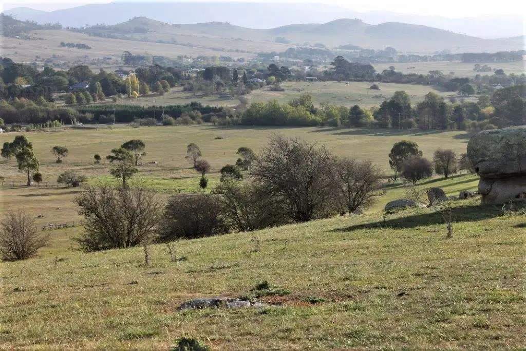 Main view of Homely rural property listing, 228 Wallace Street, Braidwood NSW 2622