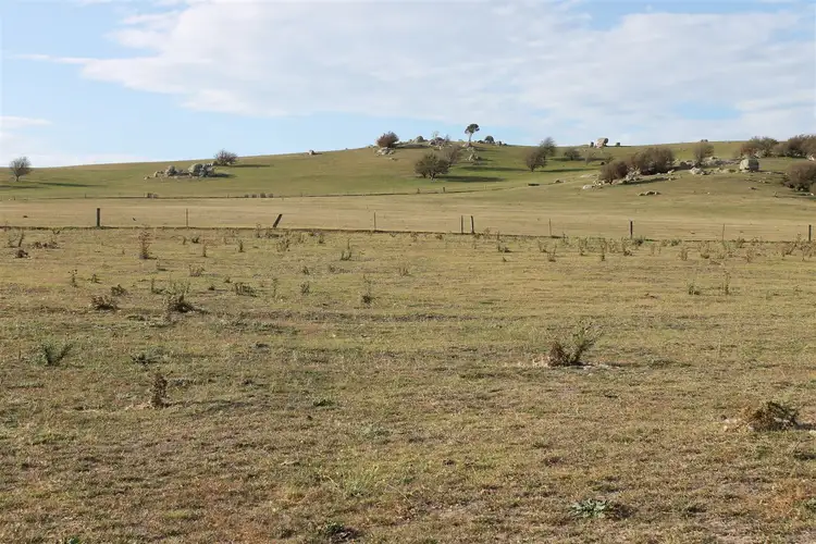 Third view of Homely rural property listing, 228 Wallace Street, Braidwood NSW 2622