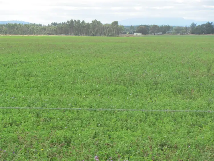 Third view of Homely rural property listing, 868 & 936 Bishopsbourne Road, Bishopsbourne TAS 7301