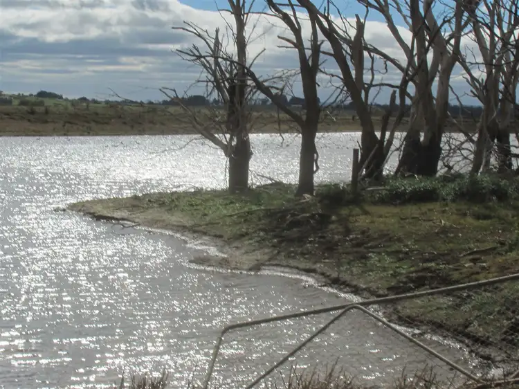 Fifth view of Homely rural property listing, 868 & 936 Bishopsbourne Road, Bishopsbourne TAS 7301