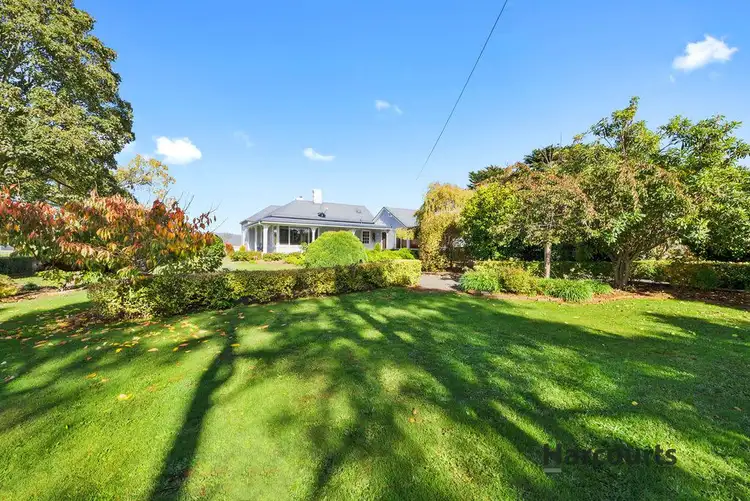 Third view of Homely house listing, 308 Sledge Track, Scottsdale TAS 7260
