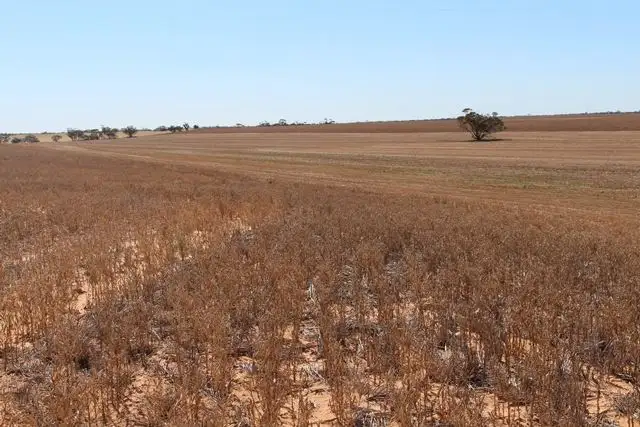 Third view of Homely rural property listing, 32 B & 34 John Road, Walpeup VIC 3507