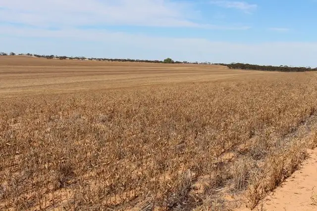 Fourth view of Homely rural property listing, 32 B & 34 John Road, Walpeup VIC 3507