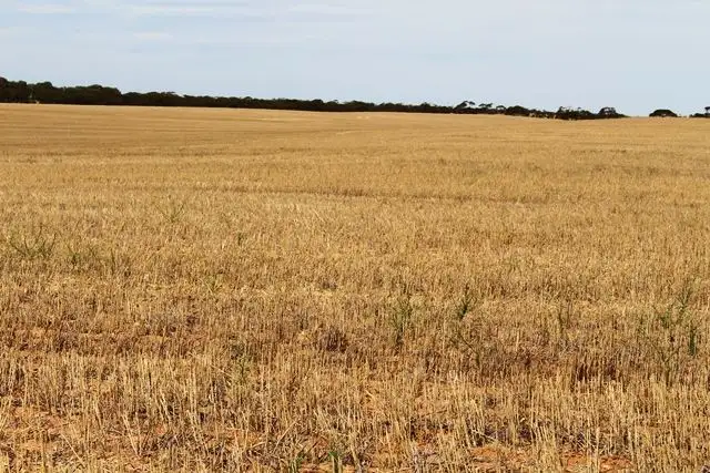 Sixth view of Homely rural property listing, 32 B & 34 John Road, Walpeup VIC 3507
