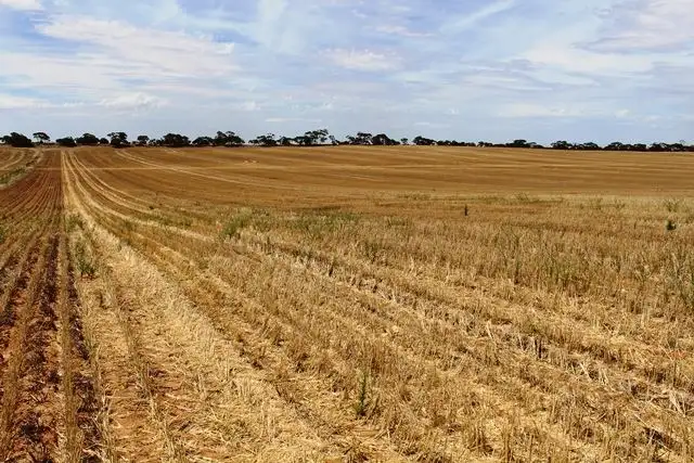 Seventh view of Homely rural property listing, 32 B & 34 John Road, Walpeup VIC 3507