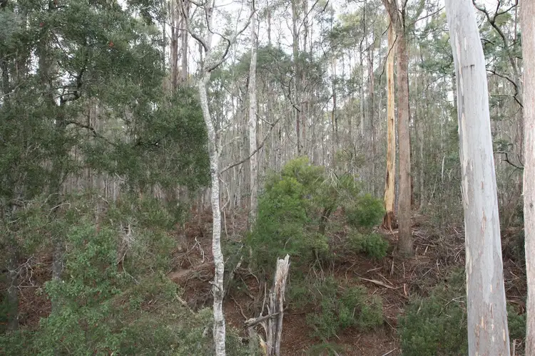 Fifth view of Homely land listing, Lot 1 Claytons Road, Mathinna TAS 7214