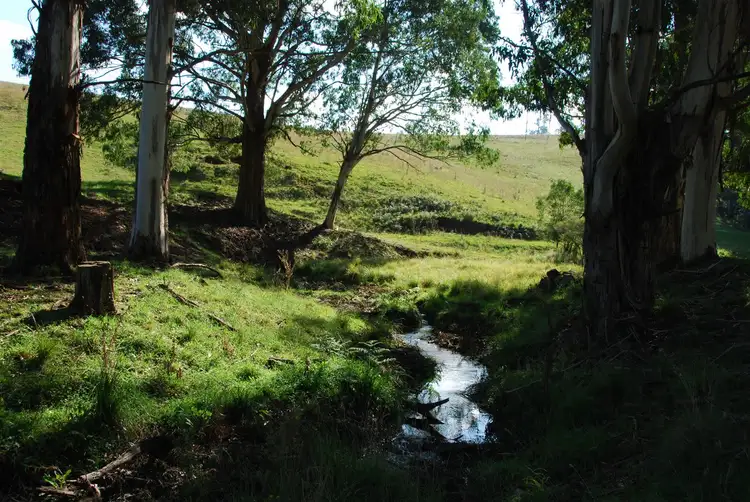 Second view of Homely rural property listing, Address available on request