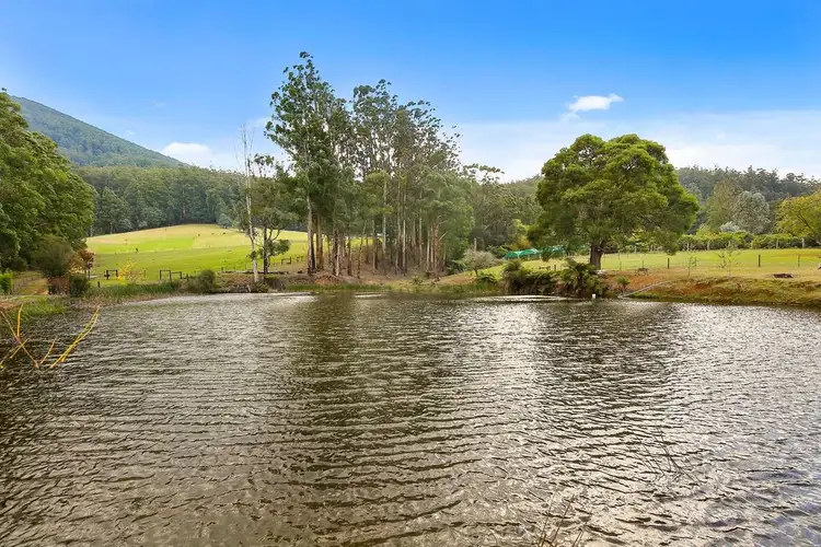 175 Hazelwood Road, East Warburton VIC 3799