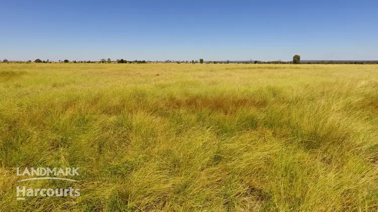 Second view of Homely rural property listing, 1510 Tomlins Rd, Wowan QLD 4702