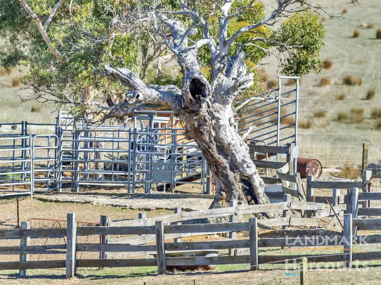 Second view of Homely rural property listing, 846 Blackheath Road, Tungkillo SA 5236