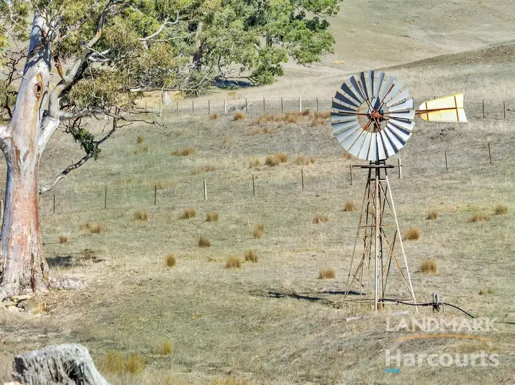 Fifth view of Homely rural property listing, 846 Blackheath Road, Tungkillo SA 5236