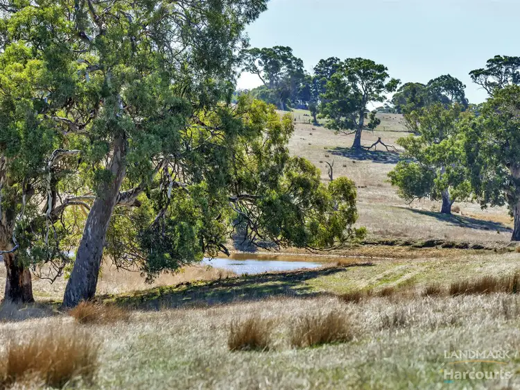 Sixth view of Homely rural property listing, 846 Blackheath Road, Tungkillo SA 5236
