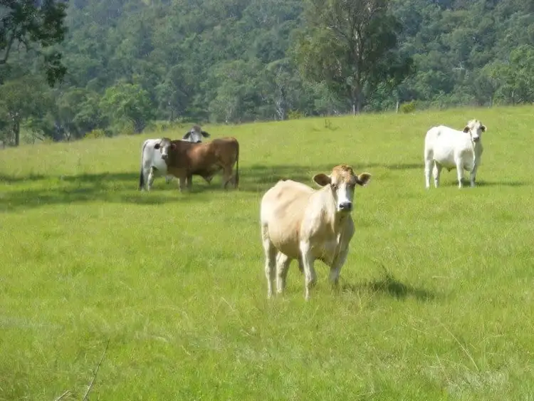 Third view of Homely rural property listing, . Hermitage Road,, Coombadjha NSW 2460