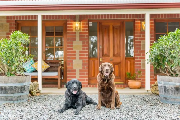 Second view of Homely rural property listing, 88B Western Branch Road, Lobethal SA 5241