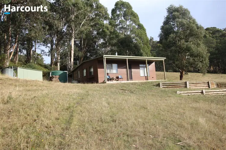 Second view of Homely rural property listing, 67 Shane Lane, Tolmie VIC 3723