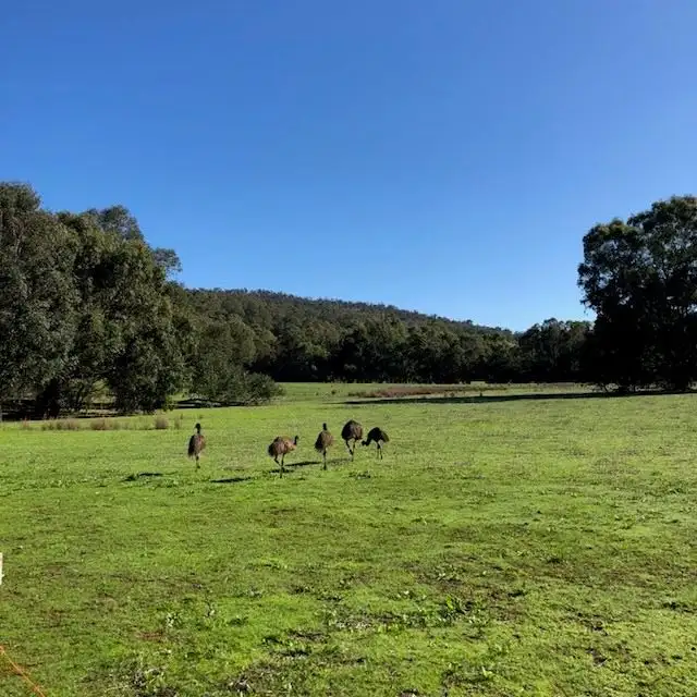 Third view of Homely land listing, 1190 Chittering Road, Bullsbrook WA 6084