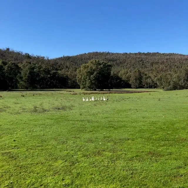 Fifth view of Homely land listing, 1190 Chittering Road, Bullsbrook WA 6084