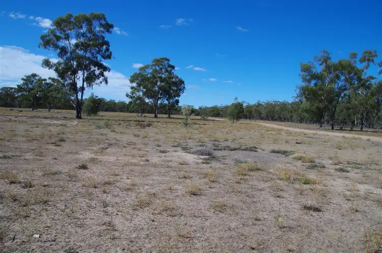 Second view of Homely rural property listing, 819 Werah Creek Road, Wee Waa NSW 2388