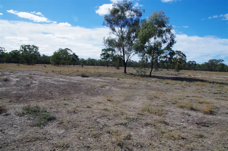 Third view of Homely rural property listing, 819 Werah Creek Road, Wee Waa NSW 2388