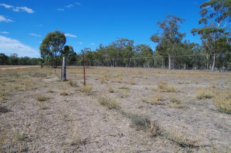 Fourth view of Homely rural property listing, 819 Werah Creek Road, Wee Waa NSW 2388