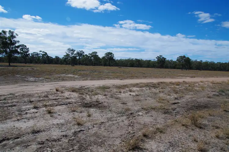 Sixth view of Homely rural property listing, 819 Werah Creek Road, Wee Waa NSW 2388