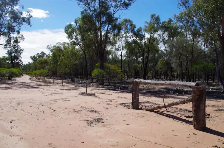 Seventh view of Homely rural property listing, 819 Werah Creek Road, Wee Waa NSW 2388