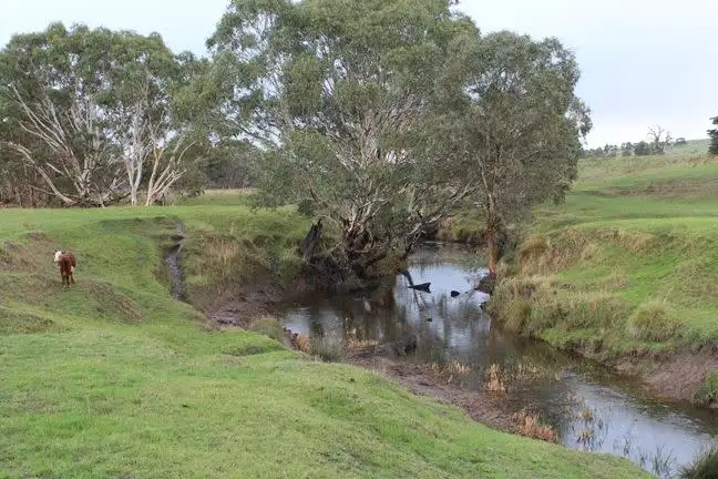 Main view of Homely rural property listing, 4670 Casterton Road, Merino VIC 3310