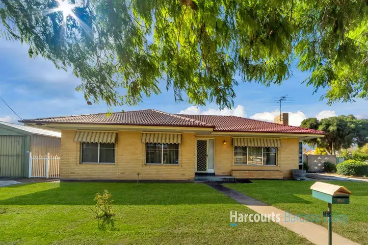 17 Hatch Street, Nuriootpa SA 5355