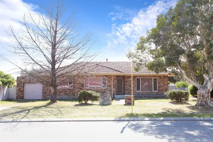 Third view of Homely house listing, 7 Sylvia Street, Balcatta WA 6021