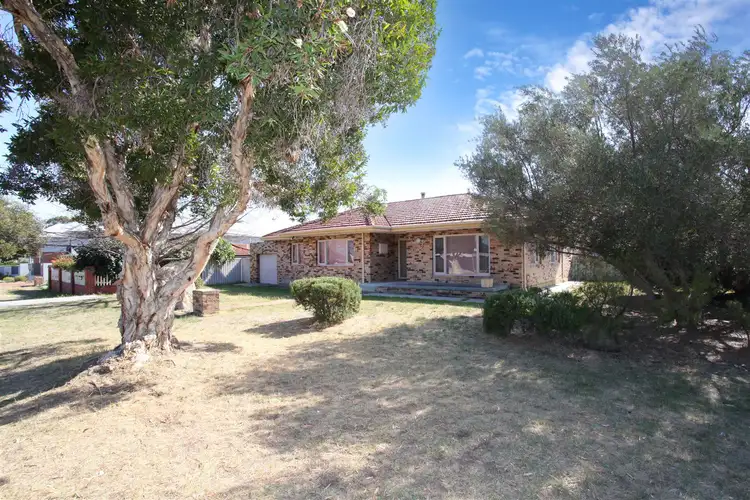 Fifth view of Homely house listing, 7 Sylvia Street, Balcatta WA 6021
