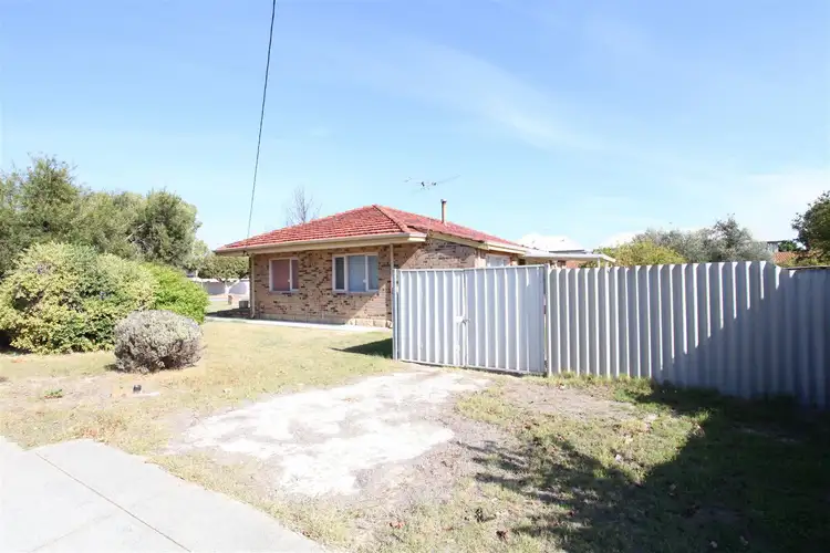 Seventh view of Homely house listing, 7 Sylvia Street, Balcatta WA 6021