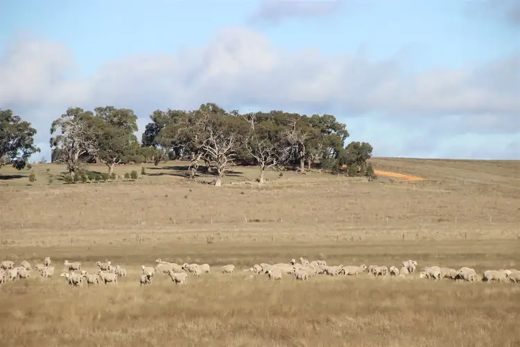 Sixth view of Homely rural property listing, . Ballarat-Carngham Road, Haddon VIC 3351